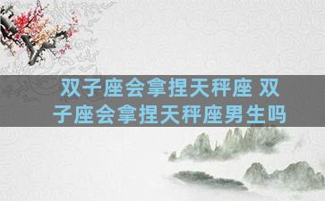 双子座会拿捏天秤座 双子座会拿捏天秤座男生吗